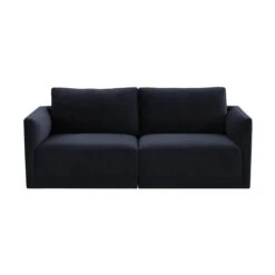 Willow Velvet Modular Loveseat -TOV Furniture Store REN L03132.media .03 47c5398b 1699 4c01 beaa 5ded75275b7b