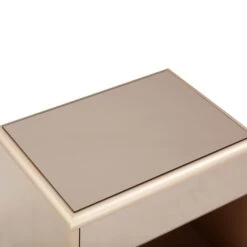 Martha Taupe Mirrored Nightstand -TOV Furniture Store TOV B54440.media .06