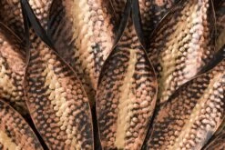 Sunflower Antique Wall Mirror 11 Sunflower Antique Wall Mirror -TOV Furniture Store TOV C18241.media .05