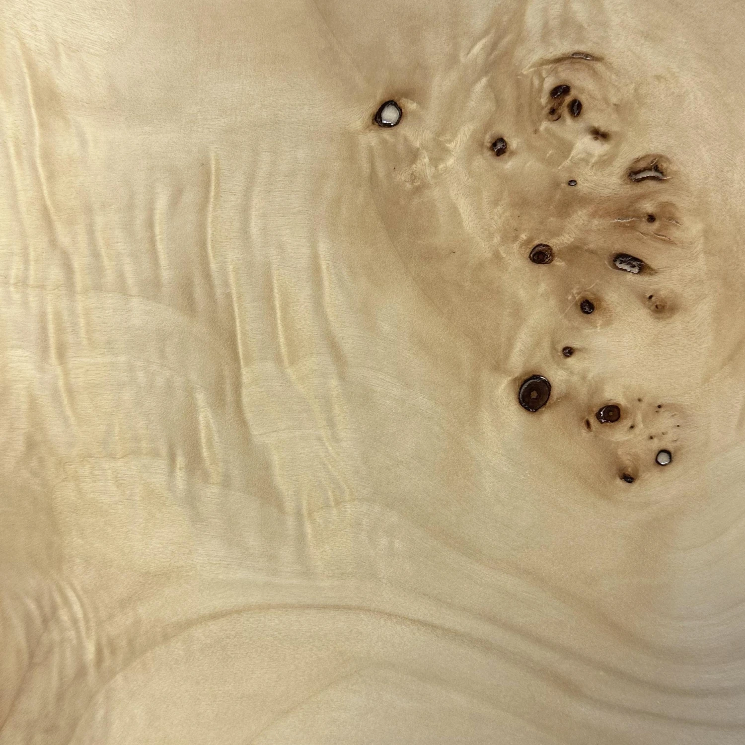 Tessa Natural Burl Wall Mirror 7 Tessa Natural Burl Wall Mirror - Image 7