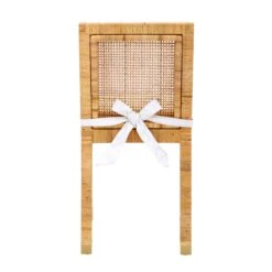 Amara Rattan Performance Fabric Dining Chair 14 Amara Rattan Performance Fabric Dining Chair -TOV Furniture Store TOV D44150 5