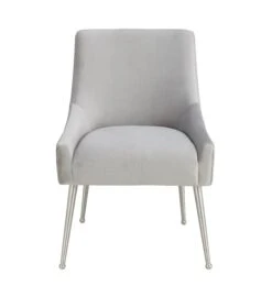 Beatrix Pleated Light Grey Velvet Side Chair - Silver Legs 11 Beatrix Pleated Light Grey Velvet Side Chair - Silver Legs -TOV Furniture Store TOV D6398.media .04 ba446935 26c3 4b00 a4e0 8d477a8fc12b