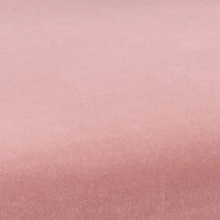 Kim Velvet Dining Chair -TOV Furniture Store TOV D6432.media .06 d732159a e70a 49a6 b65b 2daaa33e7f33