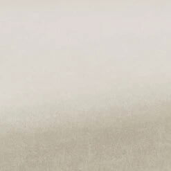 Kim Velvet Dining Chair -TOV Furniture Store TOV D6433.media .06 f575d136 1c28 4dec bcd9 13ae1d77c580