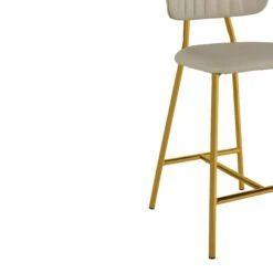 Ariana Nude Performance Vegan Leather Counter Stool - Set Of 2 -TOV Furniture Store TOV D68561.media .04 e4a362a0 3cde 4c77 9add 7d6adad133f0