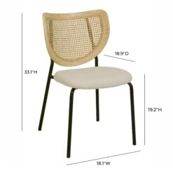 Nessie Natural Rattan Dining Chair - Set Of 2 -TOV Furniture Store TOV D68874.media .06