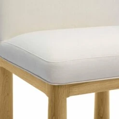 Tiara Performance Velvet And Oak Dining Chair -TOV Furniture Store TOV D69037.media .04