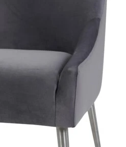 Beatrix Grey Velvet Side Chair - Silver Legs 11 Beatrix Grey Velvet Side Chair - Silver Legs -TOV Furniture Store TOV D7235.media .04 a67d0851 fa44 44c6 b265 d1bd33423389