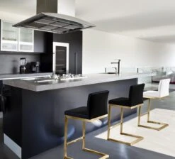 Parma Performance Vegan Leather And Gold Stainless Steel Counter Stool - Set Of 2 -TOV Furniture Store TOV K3666.media .02 c24abdc3 9d5c 4809 b6aa 333e359fdd79