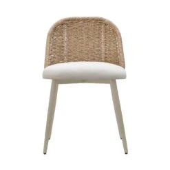 Alexa Rattan Performance Fabric Dining Chair 17 Alexa Rattan Performance Fabric Dining Chair -TOV Furniture Store TOV O68959.media .03 0888cdb8 e5af 4ce1 8168 8baa27cd7550