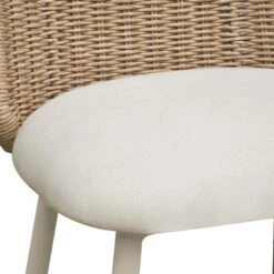 Alexa Rattan Performance Fabric Dining Chair 19 Alexa Rattan Performance Fabric Dining Chair -TOV Furniture Store TOV O68959.media .05 ee1428ec 0ece 442e b8bc e9050bbedfe2