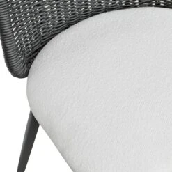 Alexa Rattan Performance Fabric Dining Chair 27 Alexa Rattan Performance Fabric Dining Chair -TOV Furniture Store TOV O69284.media .06