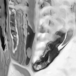 Forma Chrome Side Table -TOV Furniture Store TOV OC18702.media .06