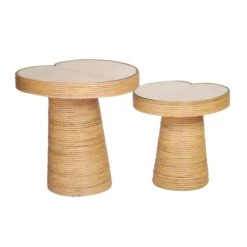 Felicia Lilypad Side Table -TOV Furniture Store TOV OC21019.media .05 9f581d62 fe02 4f09 ad29 0a3af806d172