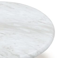 Juju Marble Coffee Table -TOV Furniture Store TOV OC54400.media .04