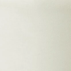 Opal Velvet Ottoman 29 Opal Velvet Ottoman -TOV Furniture Store TOV OC6156.media .04 9c5e0fcd 0a28 4bb6 9e35 4703d7feb781