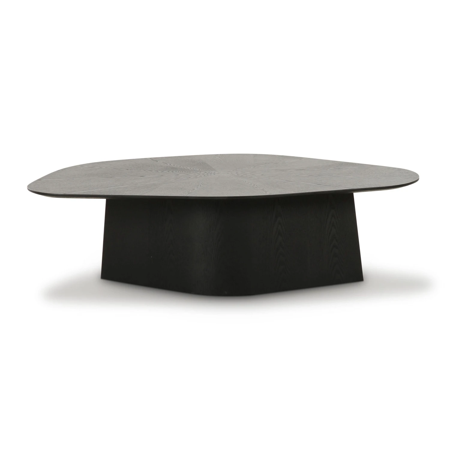 Roche Ash Geometric Coffee Table 3 Roche Ash Geometric Coffee Table - Image 3