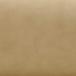 Bekah Tan Genuine Leather Accent Chair 17 Bekah Tan Genuine Leather Accent Chair -TOV Furniture Store TOV S54392.media .08